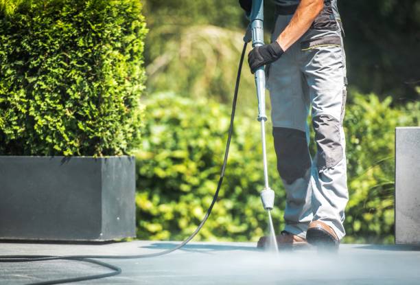 Best Concrete Sealing  in Donna, TX