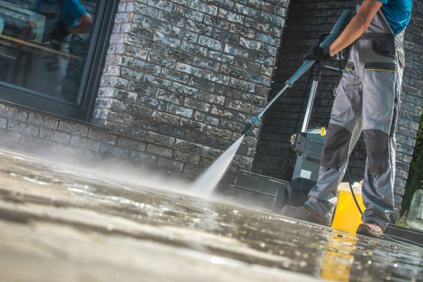 Best Soft Washing  in Donna, TX