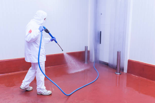 Best Playground Equipment Cleaning  in Donna, TX