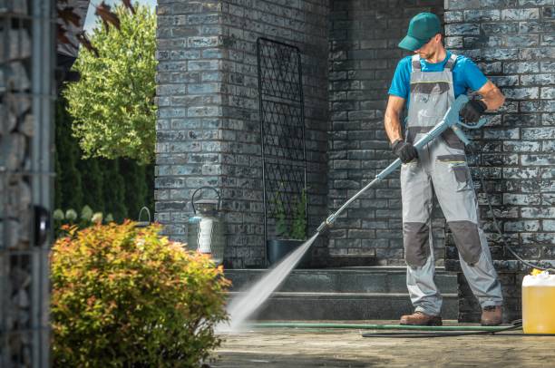  Donna, TX Pressure Washing Pros