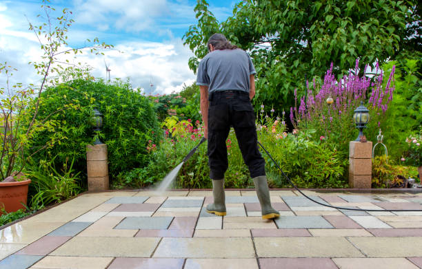 Reliable Donna, TX Pressure Washing Solutions